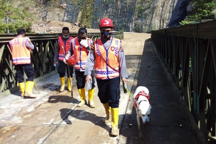 Cari Korban Longsor, Tim Gabungan Turunkan Anjing Pelacak
