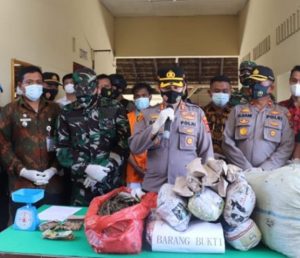 Ringkus Tersangka Narkoba, Polsek Pangkalan Brandan Amankan 25,7 Kilogram Ganja