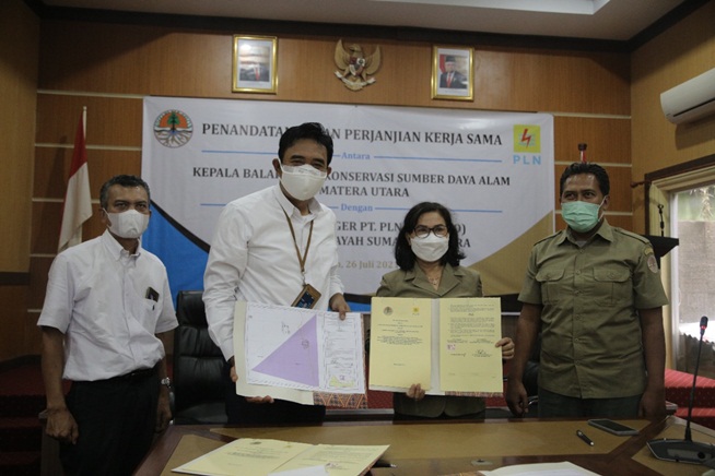 PLN Siap Melistriki 2 Dusun di Desa Terisolir di Kabupaten Labuhan Batu Selatan