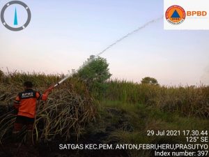 Satgas Gabungan Padamkan 7 Ha Lahan Terbakar di Ogan Ilir Sumsel