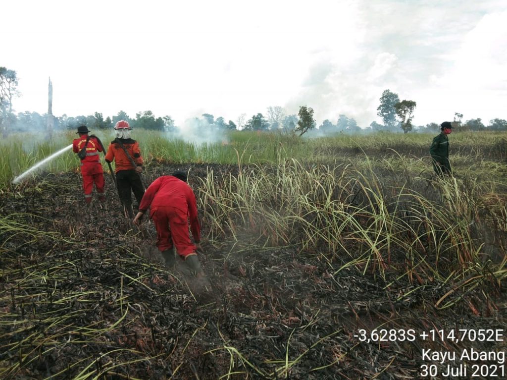 Satgas Gabungang Padamkan Tiga Titik Lahan Terbakar Seluas 9 Ha di Tanah Laut Kalsel