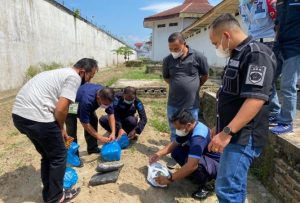 Dilempar Dari Luar, Petugas Lapas Temukan Narkoba Jenis Ganja Dan Sabu Dalam Bungkusan