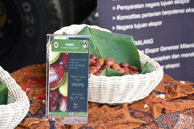 Petai dan Jengkol Asal Sumut Tembus Pasar Jepang