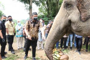 Peduli Terhadap Satwa di Kebun Binatang Medan, Bobby Apresiasi PT Musim Mas