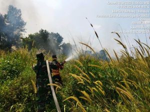Satgas Gabungan Berhasil Padamkan Lahan Terbakar Seluas 5 Hektar di Kabupaten Ogan Ilir