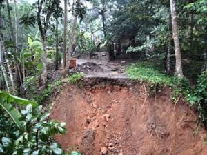Longsor di Tasikmalaya, 15 Rumah Warga Rusak Ringan Hingga Sedang