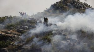 Dituduh Picu Kebakaran Hutan,Suriah Eksekusi Mati 24 Orang