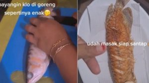 Kesal Karena Akuarium Tak Dibersihkan, Wanita ini Goreng Ikan Arwana Suaminya