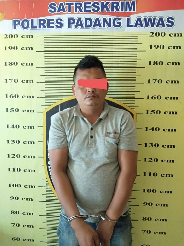Modus Pengobatan, Seorang Dukun di Padang Lawas Perkosa Dua Kakak Beradik