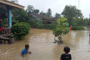 Sungai Batang Serangan Meluap, 692 Rumah di Langkat Dilanda Banjir