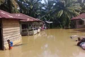 Meluap, Sungai Batang Toru Rendam Puluhan Rumah di Kampung Sibara-bara