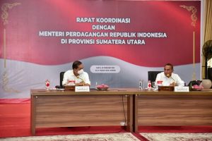 Stok di Sumut Masih Melimpah, Mendag: Tidak Ada Alasan Minyak Goreng Langka