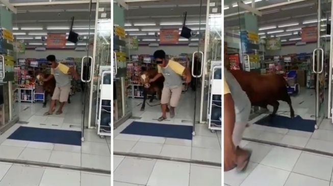 Sapi Masuk ke Minimarket, Komentar Warganet:Bikin Ngakak