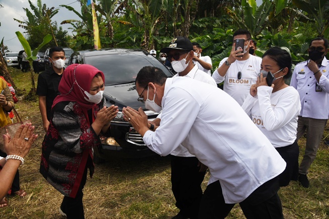 Globalkan Andaliman, Ketua Dewan Rempah Indonesia Sumut Minta Bantuan ke Kementan