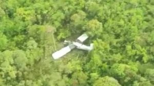 Pesawat Susi Air Jatuh di Pedalaman Timika, Tim SAR Gabungan Lakukan Evakuasi Korban