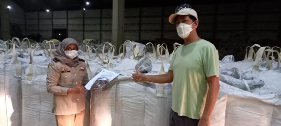 Sumut Ekspor Pakan Ternak Bahan Limbah Jagung Perdana ke Korsel