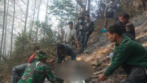 Terjatuh Saat Hendak Padamkan Api Kebakaran Hutan, Pria di Taput Meninggal dunia