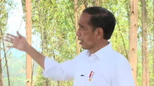 IKN Nusantara Dinilai Merupakan Upaya Jokowi Untuk Perkuat Kapasitas Pertahanan