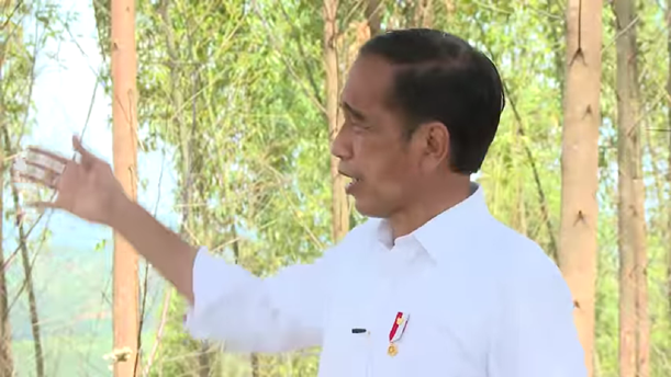 IKN Nusantara Dinilai Merupakan Upaya Jokowi Untuk Perkuat Kapasitas Pertahanan