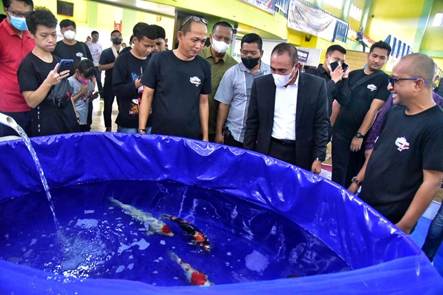 Edy Rahmayadi Buka dan Ikut Ramaikan Koi Show Sumut 2022