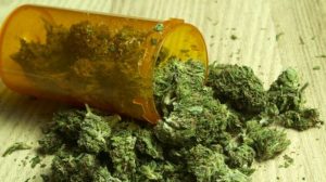 Bawa 5 Kg Ganja dari Aceh, Pria Ini Diringkus Saat Bertransaksi di Langkat
