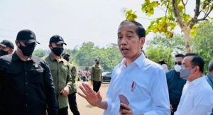Miliki Stok Beras 10,2 Juta Ton, Jokowi : Indonesia Punya Ketahanan Pangan yang Baik