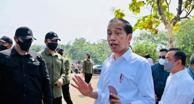Miliki Stok Beras 10,2 Juta Ton, Jokowi : Indonesia Punya Ketahanan Pangan yang Baik