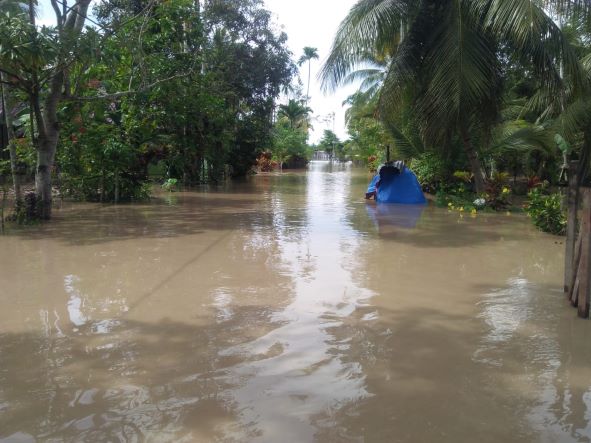 Banjir Landa Aceh Utara, 580 Rumah Terendam dan 230 Hektar Sawah Terancam Gagal Panen 