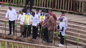 Jelang KTT G20, Jokowi Siapkan 6 Juta Bibit Nursery  