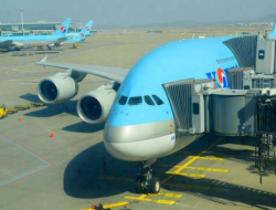 Tergelincir di Bandara Cebu Filipina, 173 Penumpang Pesawat Korean Air Berhasil Dievakuasi 