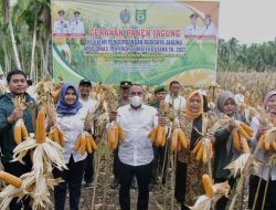 Perkuat Ketahanan Pangan, Gubsu Dorong Petani Kembangkan Tanaman Jagung 