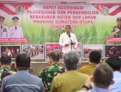 Ultimatum Dinas Kehutanan, Edy Rahmayadi : Jangan Ada Kebakaran Hutan Lagi di Sumut