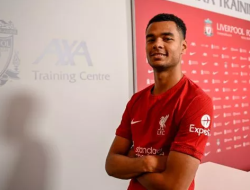 Resmi! Liverpool Boyong Cody Gakpo dari PSV Eindhoven