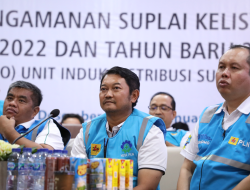 PLN Berhasil Amankan Pasokan Listrik, Perayaan Malam Tahun Baru Berlangsung Meriah