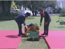 Bertemu PM Malaysia di Istana Bogor, Jokowi Ajak Anwar Ibrahim Tanam Pohon Merawan Bersama