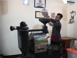 Produksi Kopi SIKARTA Naik Berkat Bantuan PLN Peduli