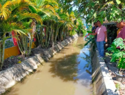 Terseret Arus Air Saat Bermain di Irigasi, 2 Balita di Percut Sei Tuan Ditemukan Tewas