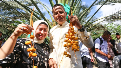 Didatangi Wisatawan dari Luar Indonesia, Pohon Kurma di Karo Berikan Dampak Ekonomi untuk Sumut