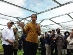 Kunjungi IKN, Jokowi Tinjau Kompleks Perumahan Menteri