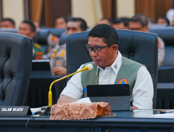 Antisipasi Dampak Bencana saat Mudik Lebaran, BNPB Siapkan Strategi