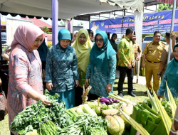Monitoring PKK di Dua Kelurahan Tebingtinggi, Nawal Lubis Bangga Banyak Program yang Berjalan Baik