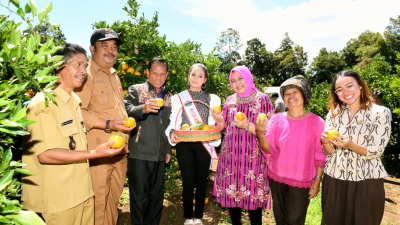 Panen Bawang dan Jeruk di Humbahas, Nawal Ajak Masyarakat Jaga Ketahanan Pangan