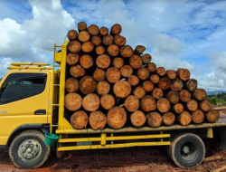 Diduga Angkut Kayu Ilegal Logging, DLHK Sumut Amankan Truk dan Muatannya di Taput