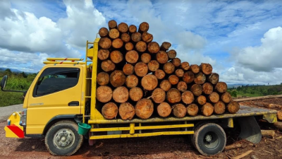 Diduga Angkut Kayu Ilegal Logging, DLHK Sumut Amankan Truk dan Muatannya di Taput