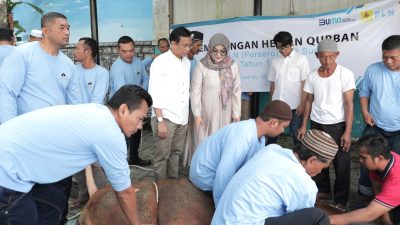 Idul Adha 1444 H, PLN UID Sumut Salurkan Ribuan Paket Daging Kurban