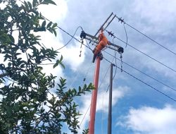 PLN Aliri Listrik ke 1.253 Pelanggan Daerah 3T di Semester I 2023