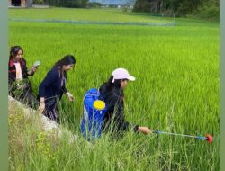 Pembuatan Pupuk Cair Micro Organisme Lokal Tingkatkan Nilai Wirausaha Petani