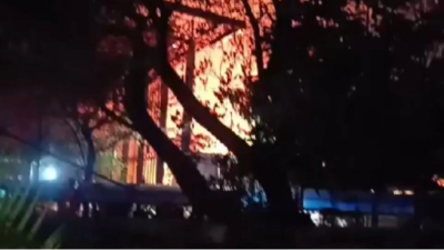 Kepala Damkar DKI Ungkap Sebab Kebakaran Museum Nasional